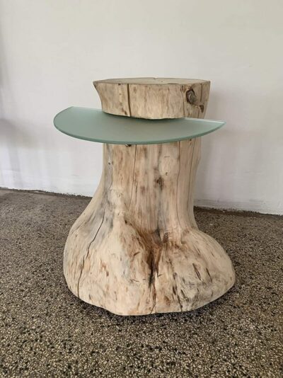 Tree trunk table